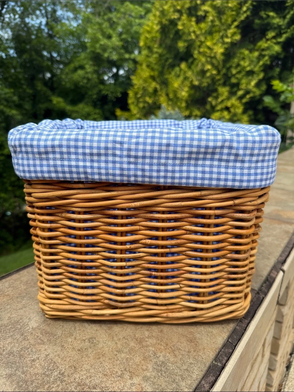 Pottery Barn Kids Woven Rattan Basket with Blue Gingham Liner